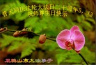 ���ֹ�,�������󷨵��ӹ��ش󷨺鴫��ʮ��������ʦ�𻪵�(28��)
