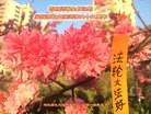 ���ֹ�,�ӱ��󷨵��ӹ��ش󷨺鴫��ʮ��������ʦ�𻪵�(27��)
