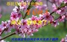 ���ֹ�,�����󷨵��ӹ��ش󷨺鴫��ʮ��������ʦ�𻪵�(28��)
