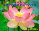 ���ֹ�,ʯ��ׯ�󷨵��ӹ��ش󷨺鴫��ʮ��������ʦ�𻪵�(26��)
