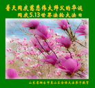 ���ֹ�,ɽ���󷨵��ӹ��ش󷨺鴫��ʮ��������ʦ�𻪵�(30��)
