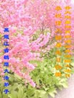 ���ֹ�,�������󷨵��ӹ��ش󷨺鴫��ʮ��������ʦ�𻪵�(25��)
