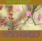 ���ֹ�,ɽ���󷨵��ӹ��ش󷨺鴫��ʮ��������ʦ�𻪵�(29��)
