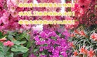 ���ֹ�,�ӱ��󷨵��ӹ������編�ִ�����ʦ�𻪵�(26��)
