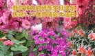 ���ֹ�,�ӱ��󷨵��ӹ��ش󷨺鴫��ʮ��������ʦ�𻪵�(26��)
