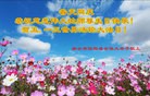 ���ֹ�,�ӱ��󷨵��ӹ��ش󷨺鴫��ʮ��������ʦ�𻪵�(26��)
