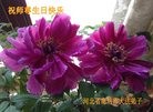 ���ֹ�,�ȷ��󷨵��ӹ��ش󷨺鴫��ʮ��������ʦ�𻪵�(29��)
