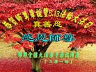���ֹ�,�ӱ��󷨵��ӹ������編�ִ�����ʦ�𻪵�(27��)
