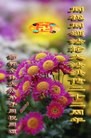 ���ֹ�,�ӱ��󷨵��ӹ������編�ִ�����ʦ�𻪵�(27��)
