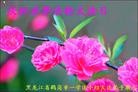 ���ֹ�,�������󷨵��ӹ��ش󷨺鴫��ʮ��������ʦ�𻪵�(25��)
