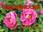 ���ֹ�,�������󷨵��ӹ��ش󷨺鴫��ʮ��������ʦ�𻪵�(20��)

