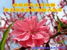 ���ֹ�,��������󷨵��ӹ������編�ִ�����ʦ�𻪵�(26��)
