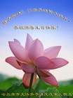 ���ֹ�,�������󷨵��ӹ������編�ִ�����ʦ�𻪵�(26��)

