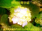 ���ֹ�,����󷨵��ӹ������編�ִ�����ʦ�𻪵�(28��)

