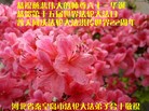 ���ֹ�,�ػʵ��󷨵��ӹ��ش󷨺鴫��ʮ��������ʦ�𻪵�(23��)
