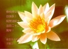 ���ֹ�,�ػʵ��󷨵��ӹ��ش󷨺鴫��ʮ��������ʦ�𻪵�(23��)
