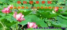 ���ֹ�,�������󷨵��ӹ������編�ִ�����ʦ�𻪵�(26��)
