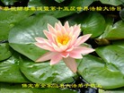 ���ֹ�,�����󷨵��ӹ������編�ִ�����ʦ�𻪵�(26��)
