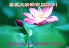 ���ֹ�,�ȷ��󷨵��ӹ������編�ִ�����ʦ�𻪵�(28��)

