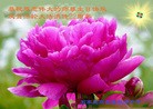 ���ֹ�,ʯ��ׯ�󷨵��ӹ������編�ִ�����ʦ�𻪵�(24��)
