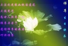 ���ֹ�,����󷨵��ӹ������編�ִ�����ʦ�𻪵�(28��)
