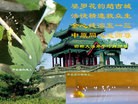 ���ֹ�,�ӱ��󷨵��ӹ���ʦ�𻪵��ߴ󷨺鴫��ʮ������(21��)
