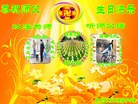 ���ֹ�,����󷨵��ӹ���ʦ�𻪵��ߴ󷨺鴫��ʮ������(19��)
