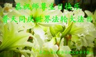 ���ֹ�,�������󷨵��ӹ���ʦ�𻪵��ߴ󷨺鴫��ʮ������(19��)
