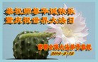 ���ֹ�,�ӱ��󷨵��ӹ���ʦ�𻪵��ߴ󷨺鴫��ʮ������(21��)
