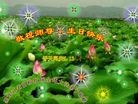 ���ֹ�,��������󷨵��ӹ��ش󷨺鴫��ʮ��������ʦ�𻪵�(20��)
