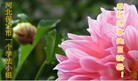 ���ֹ�,�����󷨵��ӹ���ʦ�𻪵��ߴ󷨺鴫��ʮ������(24��)
