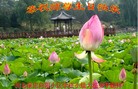 ���ֹ�,�����󷨵��ӹ���ʦ�𻪵��ߴ󷨺鴫��ʮ������(24��)
