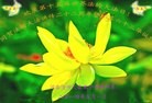 ���ֹ�,�ӱ��󷨵��ӹ���ʦ�𻪵��ߴ󷨺鴫��ʮ������(21��)
