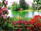���ֹ�,�ӱ��󷨵��ӹ���ʦ�𻪵��ߴ󷨺鴫��ʮ������(19��)
