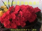 ���ֹ�,�������󷨵��ӹ���ʦ�𻪵��ߴ󷨺鴫��ʮ������(25��)

