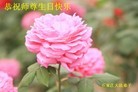 ���ֹ�,ʯ��ׯ�󷨵��ӹ���ʦ�𻪵��ߴ󷨺鴫��ʮ������(23��)
