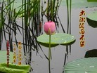 ���ֹ�,�������󷨵��ӹ���ʦ�𻪵��ߴ󷨺鴫��ʮ������(22��)
