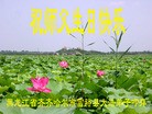 ���ֹ�,��������󷨵��ӹ������編�ִ�����ʦ�𻪵�(26��)
