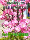 ���ֹ�,�������󷨵��ӹ���ʦ�𻪵��ߴ󷨺鴫��ʮ������(22��)
