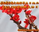 ���ֹ�,�����󷨵��ӹ���ʦ�𻪵��ߴ󷨺鴫��ʮ������(22��)
