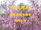 ���ֹ�,�������󷨵��ӹ���ʦ�𻪵��ߴ󷨺鴫��ʮ������(23��)
