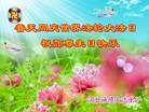 ���ֹ�,�ӱ��󷨵��ӹ���ʦ�𻪵��ߴ󷨺鴫��ʮ������(19��)
