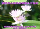���ֹ�,�������󷨵��ӹ��ش󷨺鴫��ʮ��������ʦ�𻪵�(27��)
