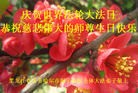 ���ֹ�,��������󷨵��ӹ���ʦ�𻪵��ߴ󷨺鴫��ʮ������(24��)

