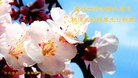 ���ֹ�,�ȷ��󷨵��ӹ��ش󷨺鴫��ʮ��������ʦ�𻪵�(31��)
