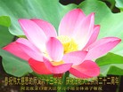 ���ֹ�,�żҿڴ󷨵��ӹ���ʦ�𻪵��ߴ󷨺鴫��ʮ������(27��)
