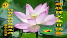 ���ֹ�,�ӱ��󷨵��ӹ���ʦ�𻪵��ߴ󷨺鴫��ʮ������(23��)
