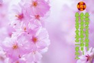 ���ֹ�,�ػʵ��󷨵��ӹ���ʦ�𻪵��ߴ󷨺鴫��ʮ������(25��)
