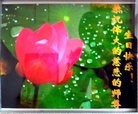 ���ֹ�,�ӱ��󷨵��ӹ��ش󷨺鴫��ʮ��������ʦ�𻪵�(23��)
