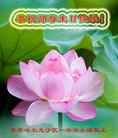 ���ֹ�,��������󷨵��ӹ���ʦ�𻪵��ߴ󷨺鴫��ʮ������(24��)
